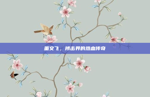 董文飞，搏击界的热血传奇