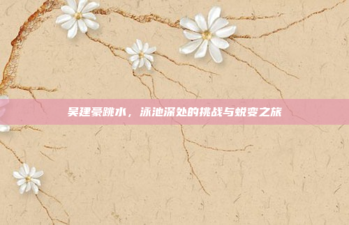 吴建豪跳水，泳池深处的挑战与蜕变之旅