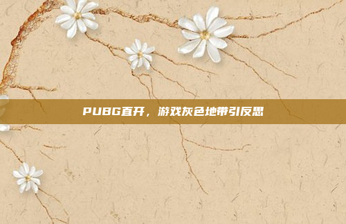 PUBG直开，游戏灰色地带引反思