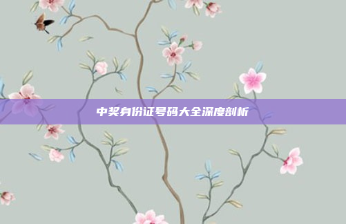 中奖身份证号码大全深度剖析