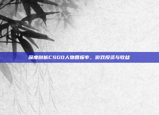 深度剖析CSGO人物回报率，游戏投资与收益
