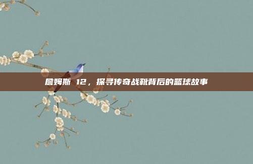 詹姆斯 12，探寻传奇战靴背后的篮球故事