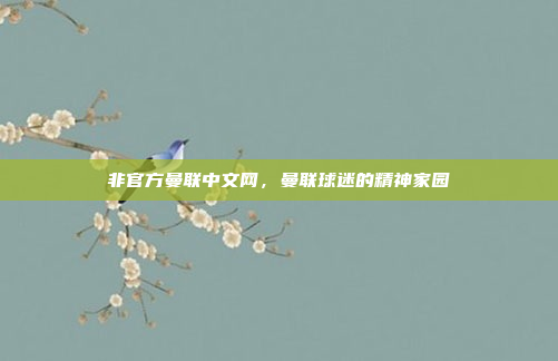 非官方曼联中文网，曼联球迷的精神家园