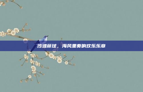 沙滩藤球，海风里奏响欢乐乐章