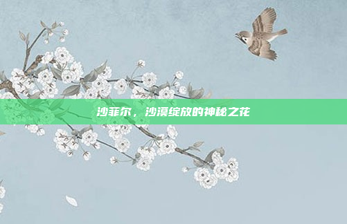 沙菲尔，沙漠绽放的神秘之花