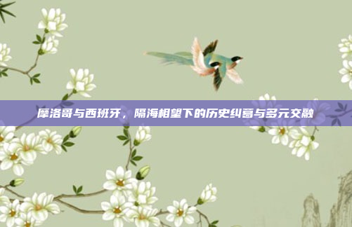 摩洛哥与西班牙，隔海相望下的历史纠葛与多元交融