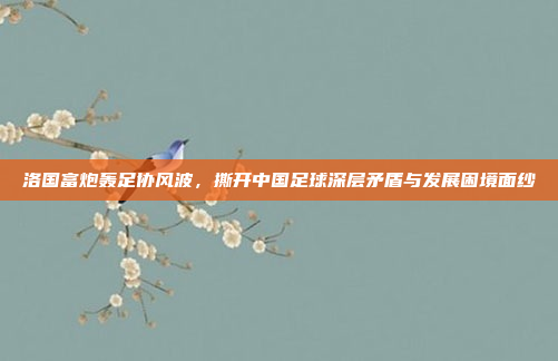 洛国富炮轰足协风波，撕开中国足球深层矛盾与发展困境面纱