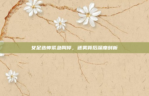 女足选帅紧急叫停，迷雾背后深度剖析