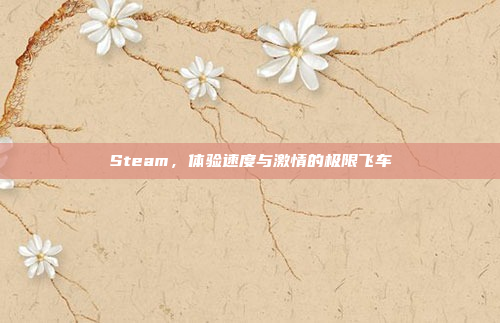 Steam，体验速度与激情的极限飞车
