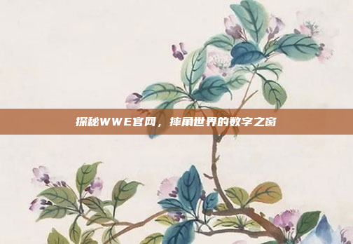 探秘WWE官网，摔角世界的数字之窗