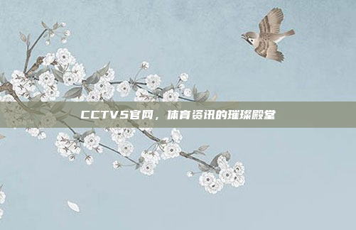 CCTV5官网，体育资讯的璀璨殿堂