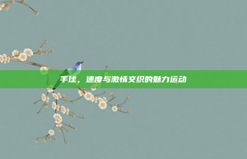 手球，速度与激情交织的魅力运动