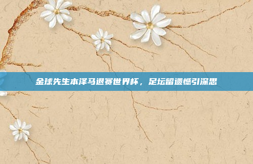 金球先生本泽马退赛世界杯，足坛留遗憾引深思