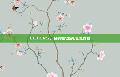 CCTCV5，体育梦想的璀璨舞台