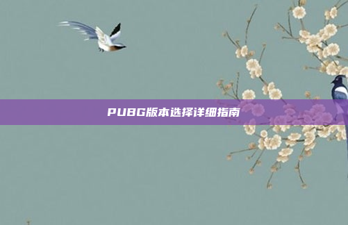 PUBG版本选择详细指南