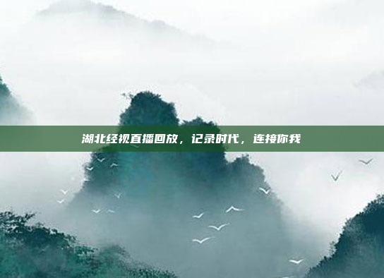 湖北经视直播回放,记录时代,连接你我