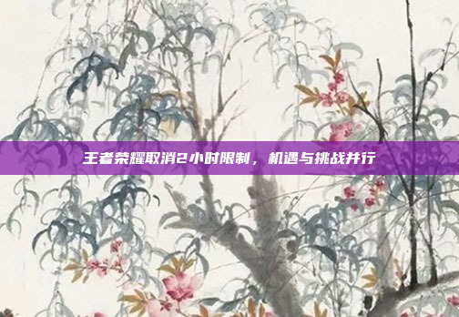 王者荣耀取消2小时限制，机遇与挑战并行
