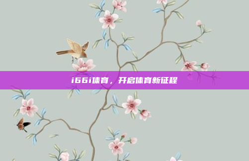 i66i体育，开启体育新征程