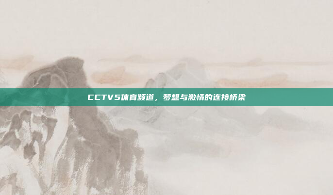 CCTV5体育频道，梦想与激情的连接桥梁