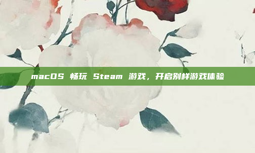 macOS 畅玩 Steam 游戏，开启别样游戏体验