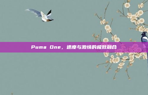 Puma One，速度与激情的极致融合