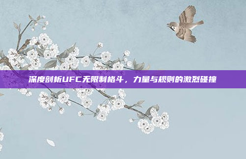 深度剖析UFC无限制格斗，力量与规则的激烈碰撞