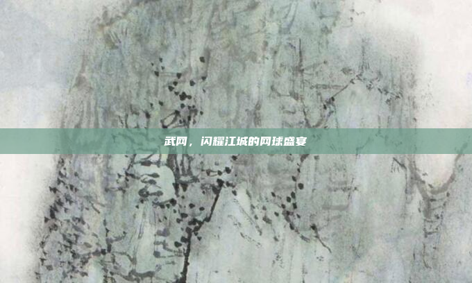 武网，闪耀江城的网球盛宴