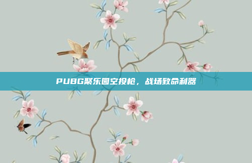 PUBG聚乐园空投枪，战场致命利器