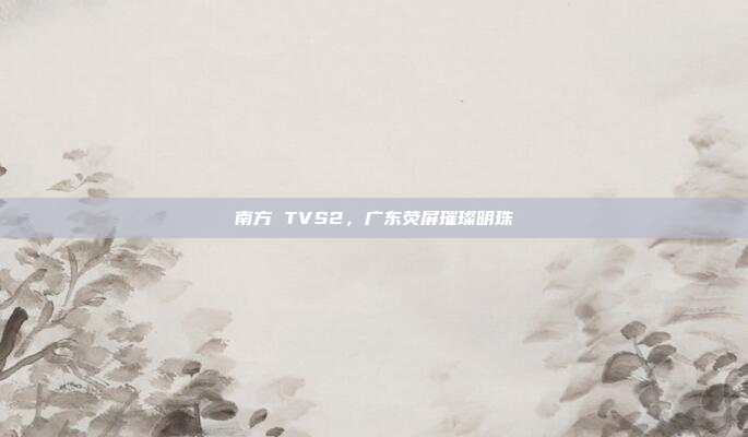 南方 TVS2，广东荧屏璀璨明珠