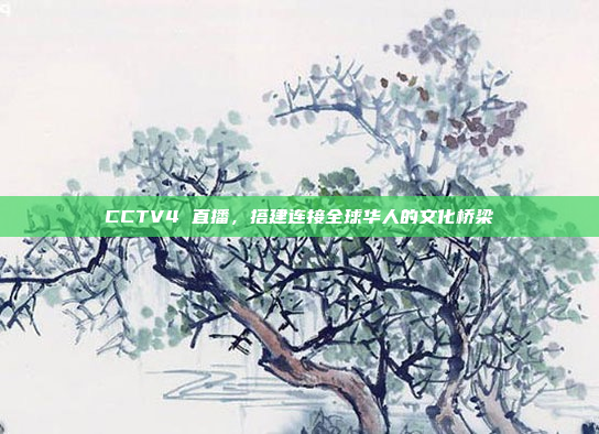 CCTV4 直播，搭建连接全球华人的文化桥梁