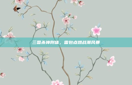 三国杀神附体，雷包点燃战潮风暴