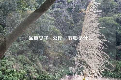 举重女子55公斤,五银是什么