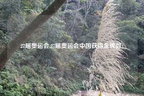27届奥运会,27届奥运会中国获得金牌数?