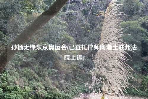 孙杨无缘东京奥运会(已委托律师向瑞士联邦法院上诉)