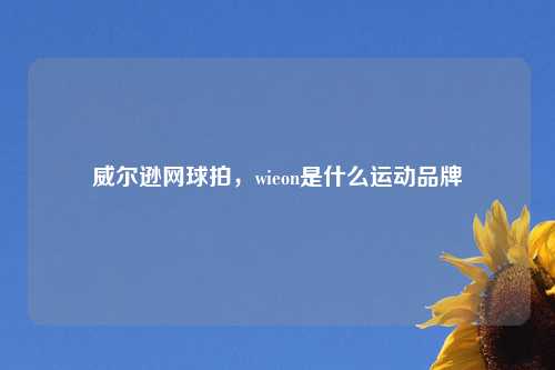 威尔逊网球拍,wieon是什么运动品牌