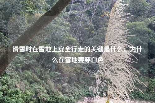 滑雪时在雪地上安全行走的关键是什么,为什么在雪地要穿白色