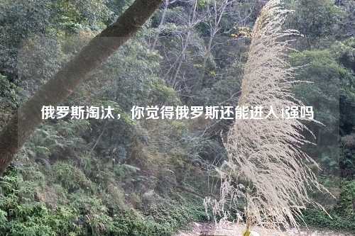 俄罗斯淘汰，你觉得俄罗斯还能进入4强吗