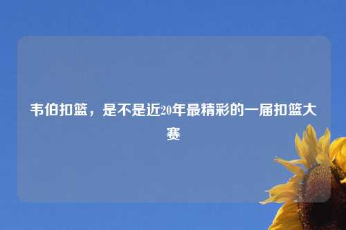 韦伯扣篮,是不是近20年最精漂亮的一届扣篮大赛