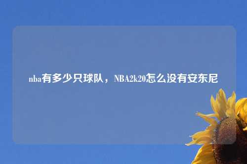 nba有多少只球队,NBA2k20怎么没有安东尼