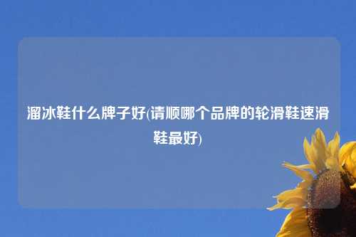 溜冰鞋什么牌子好(请顺哪个品牌的轮滑鞋速滑鞋最好)