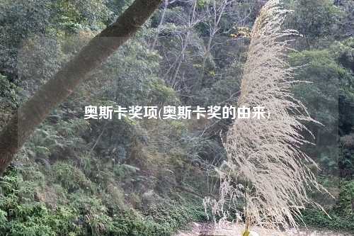 奥斯卡奖项(奥斯卡奖的由来)