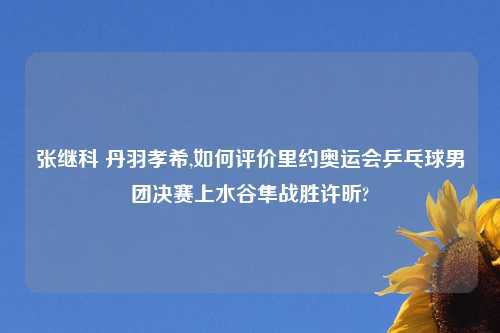 张继科 丹羽孝希,如何评价里约奥运会乒乓球男团决赛上水谷隼战胜许昕?