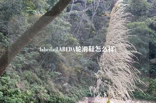 labeda(LABEDA轮滑鞋怎么样)