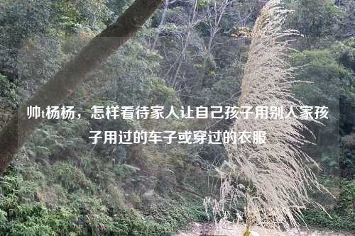帅t杨杨,怎样看待家人让自己孩子用别人家孩子用过的车子或穿过的衣服