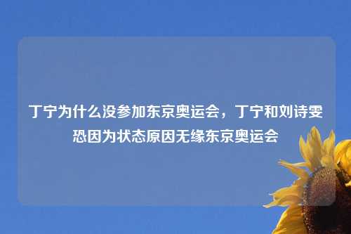 丁宁为什么没参加东京奥运会，丁宁和刘诗雯恐因为状态原因无缘东京奥运会
