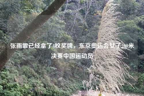 张雨霏已经拿了4枚奖牌,东京奥运会女子200米决赛中国运动员