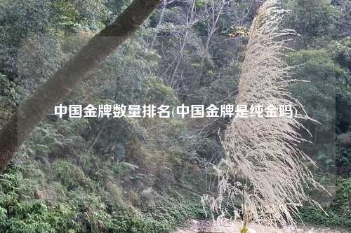 中国金牌数量排名(中国金牌是纯金吗)