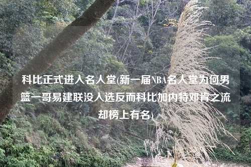 科比正式进入名人堂(新一届NBA名人堂为何男篮一哥易建联没入选反而科比加内特邓肯之流却榜上有名)