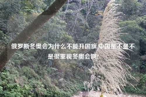 俄罗斯冬奥会为什么不能升国旗,中国是不是不是很重视冬奥会啊?