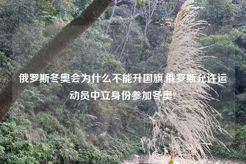 俄罗斯冬奥会为什么不能升国旗,俄罗斯允许运动员中立身份参加冬奥?